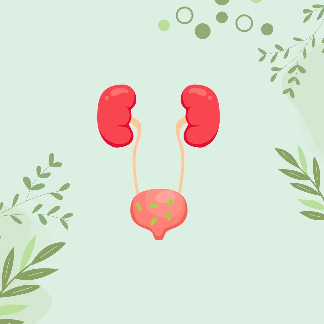 Another UTI?! Understanding recurrent urinary tract infections